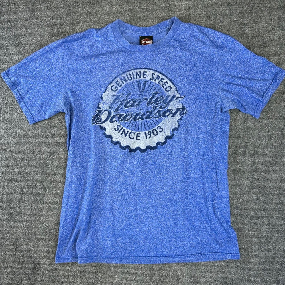 Harley Davidson Asheville NC Blue Heather Graphic T-Shirt Mens L Genuine Speed